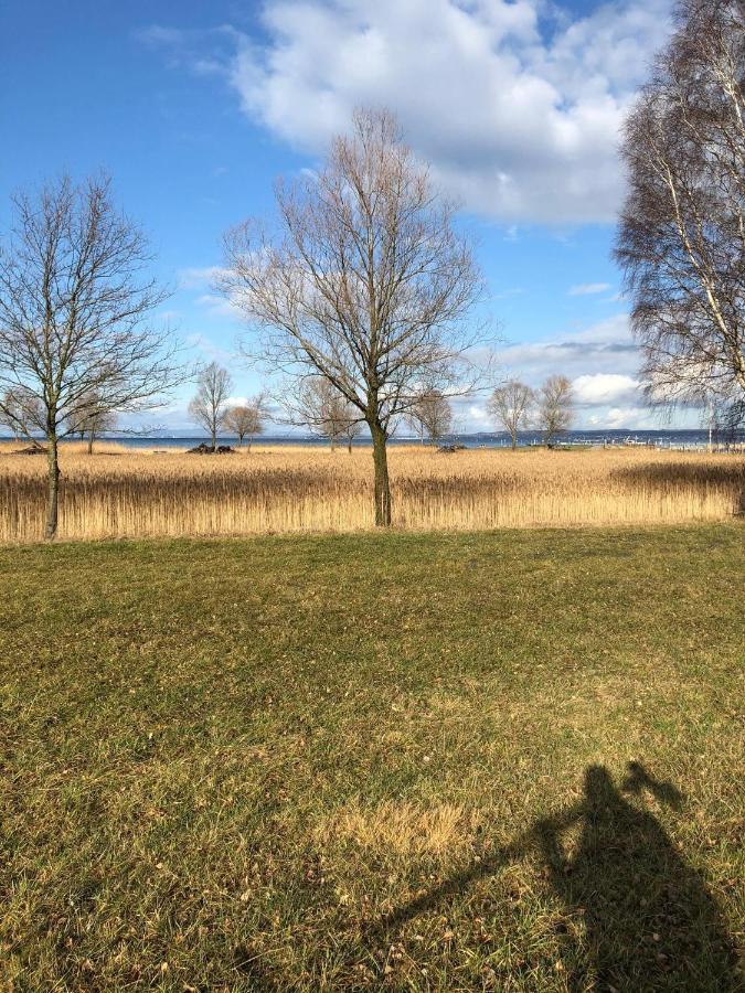 Hotel Am See Hard Bagian luar foto