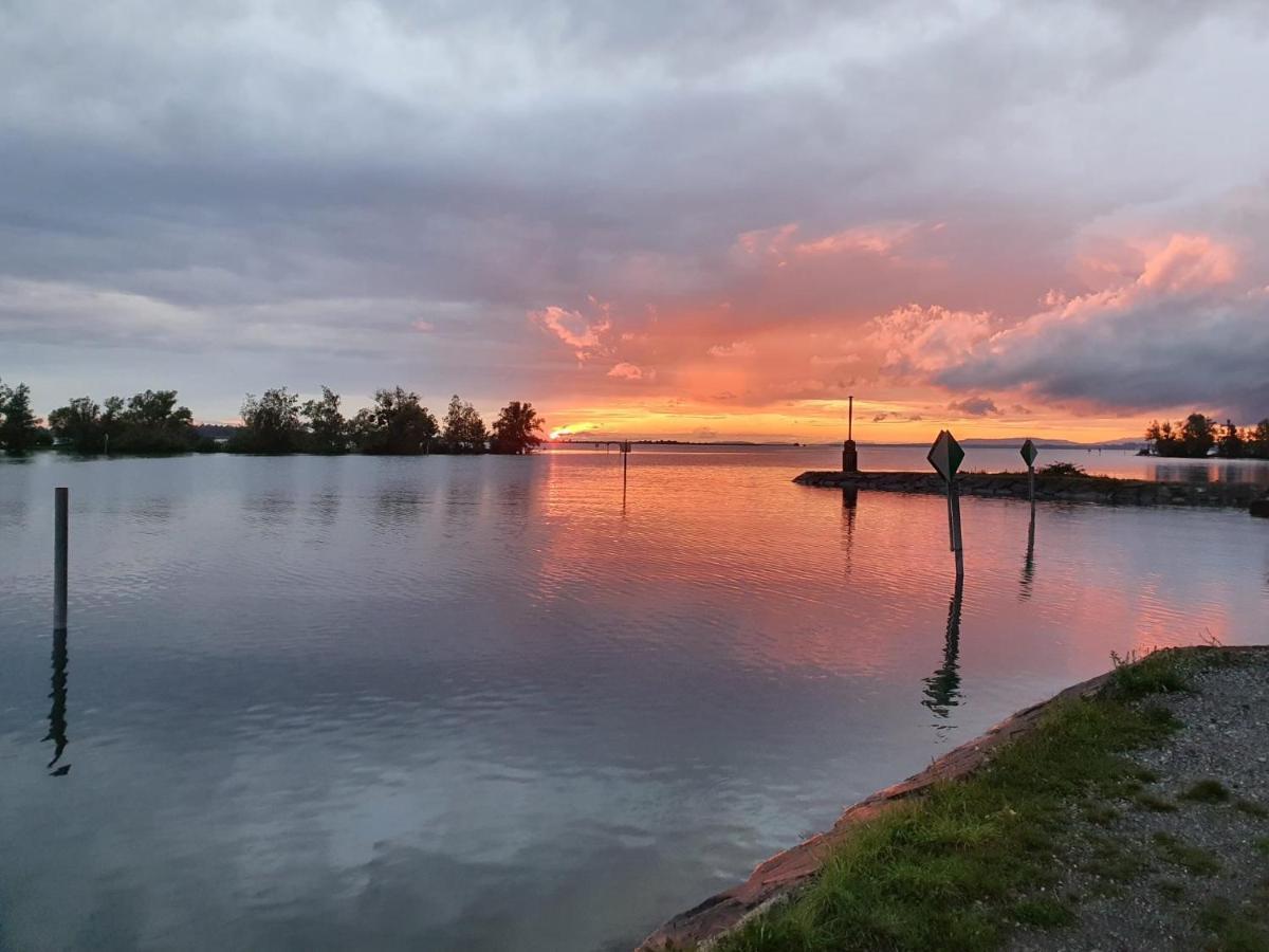 Hotel Am See Hard Bagian luar foto