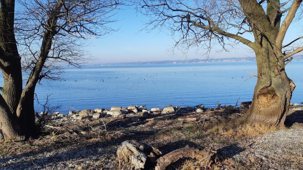 Hotel Am See Hard Bagian luar foto